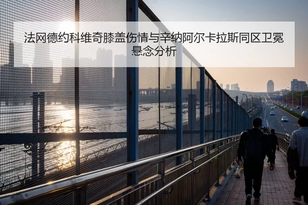 fa-wang-de-yue-ke-wei-qi-xi-gai-shang-qing-yu-xin-na-a-er-ka-la-si-tong-qu-wei-mian-xuan-nian-fen-xi-2-236.jpg