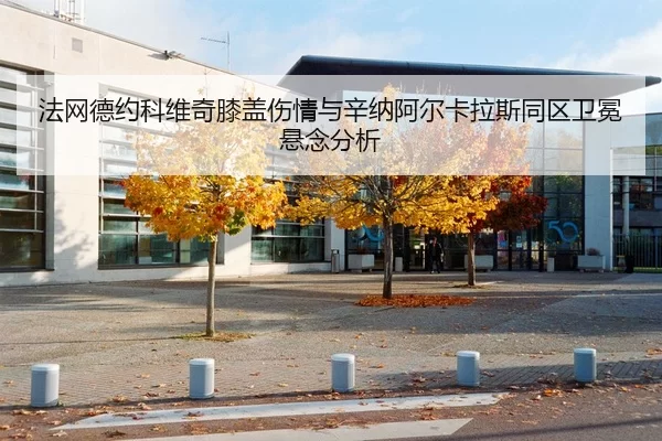 法网德约科维奇膝盖伤情与辛纳阿尔卡拉斯同区卫冕悬念分析