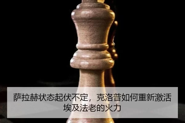 sa-la-he-zhuang-tai-qi-fu-bu-ding-ke-luo-pu-ru-he-chong-xin-ji-huo-ai-ji-fa-lao-de-huo-li-3-222.jpg