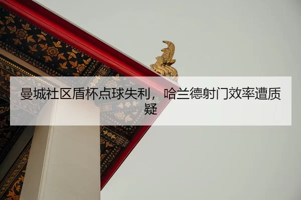 man-cheng-she-qu-dun-bei-dian-qiu-shi-li-ha-lan-de-she-men-xiao-lv-zao-zhi-yi-2-986.jpg