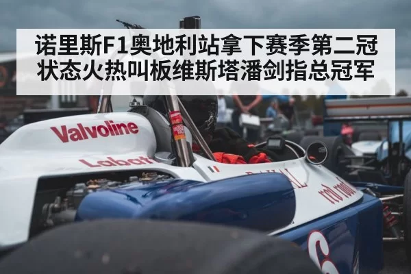 诺里斯F1奥地利站拿下赛季第二冠 状态火热叫板维斯塔潘剑指总冠军